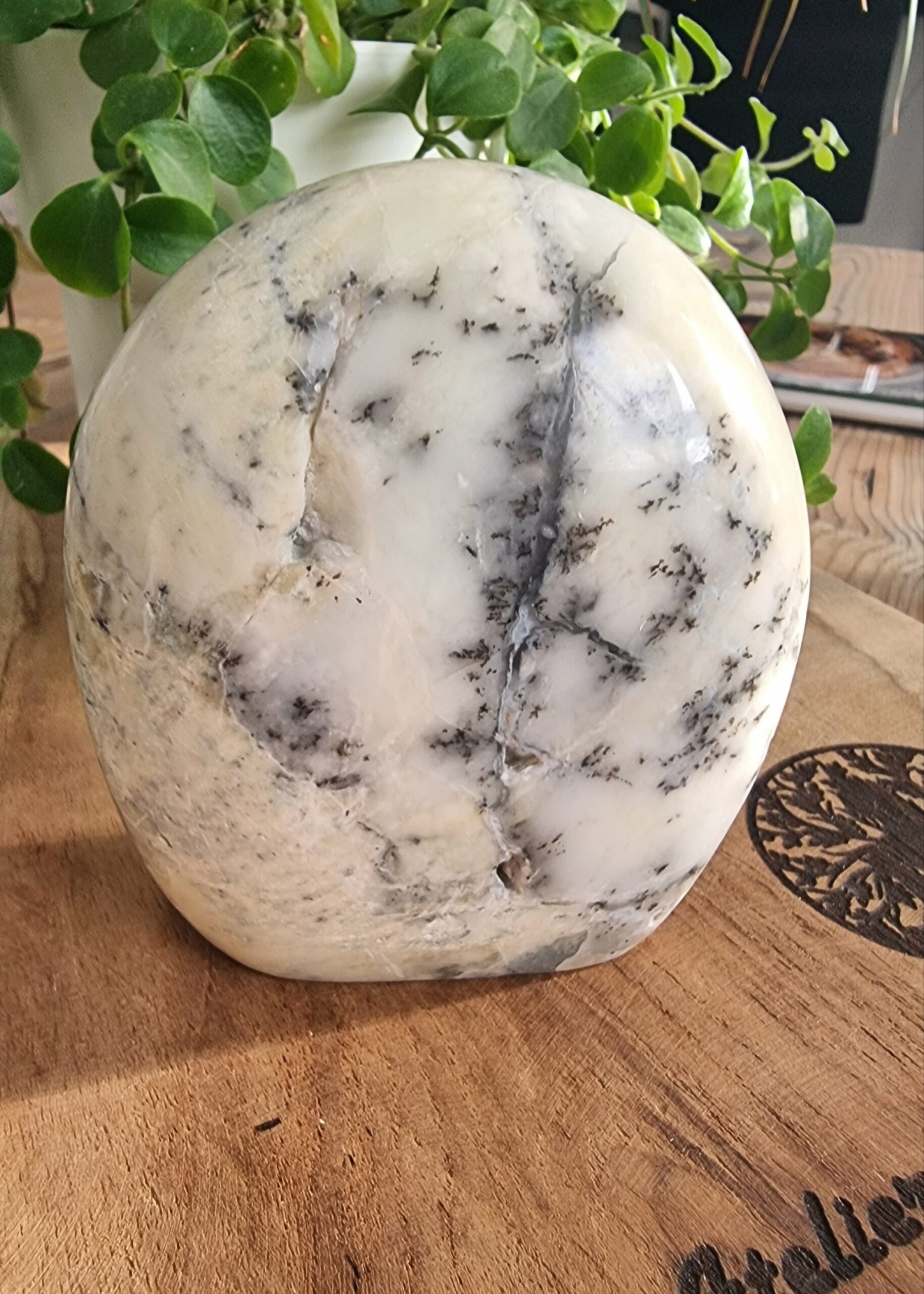 Opale dentritique ou merlinite – Image 6