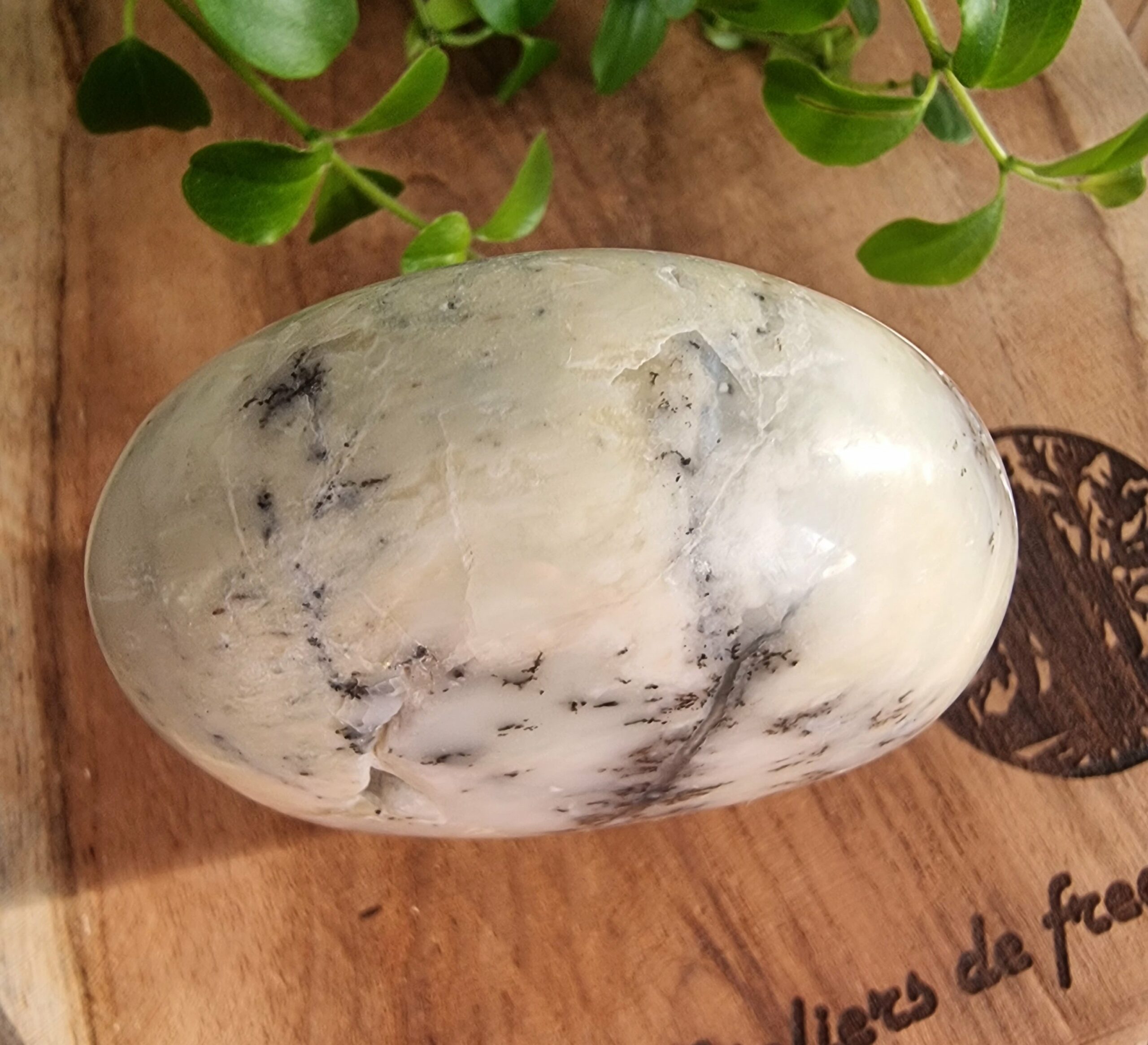 Opale dentritique ou merlinite – Image 4