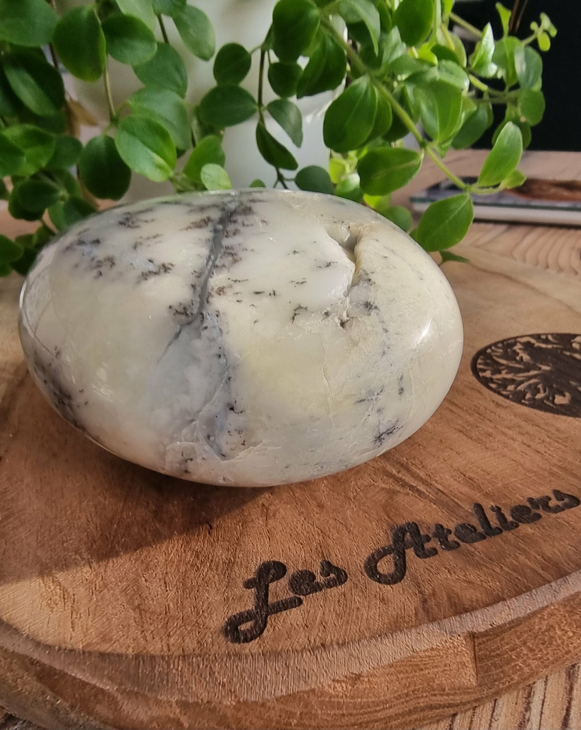 Opale dentritique ou merlinite – Image 7