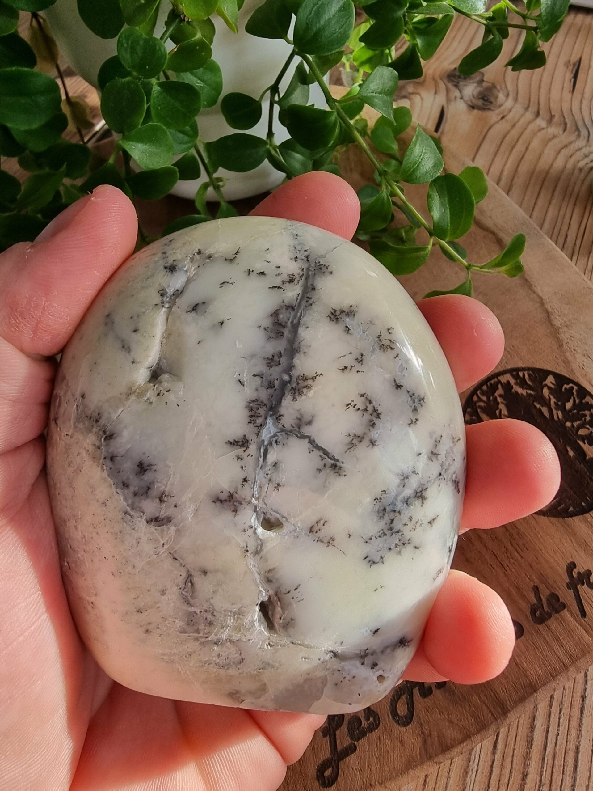 Opale dentritique ou merlinite – Image 9