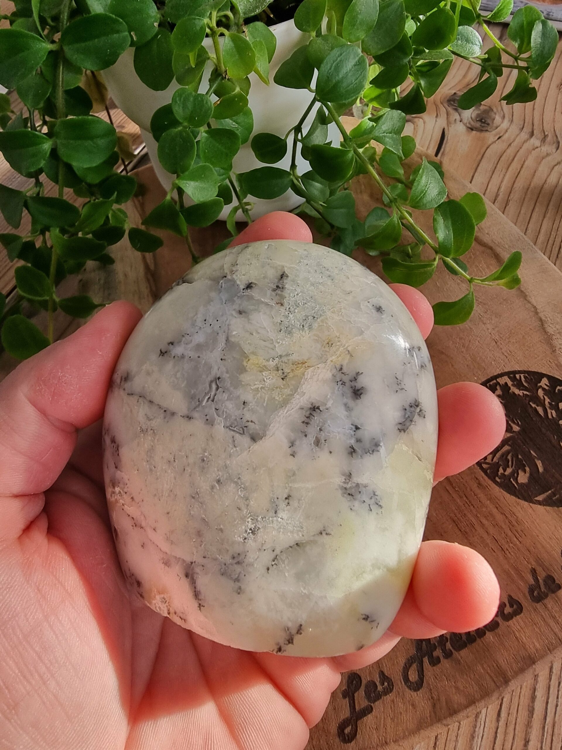 Opale dentritique ou merlinite – Image 8
