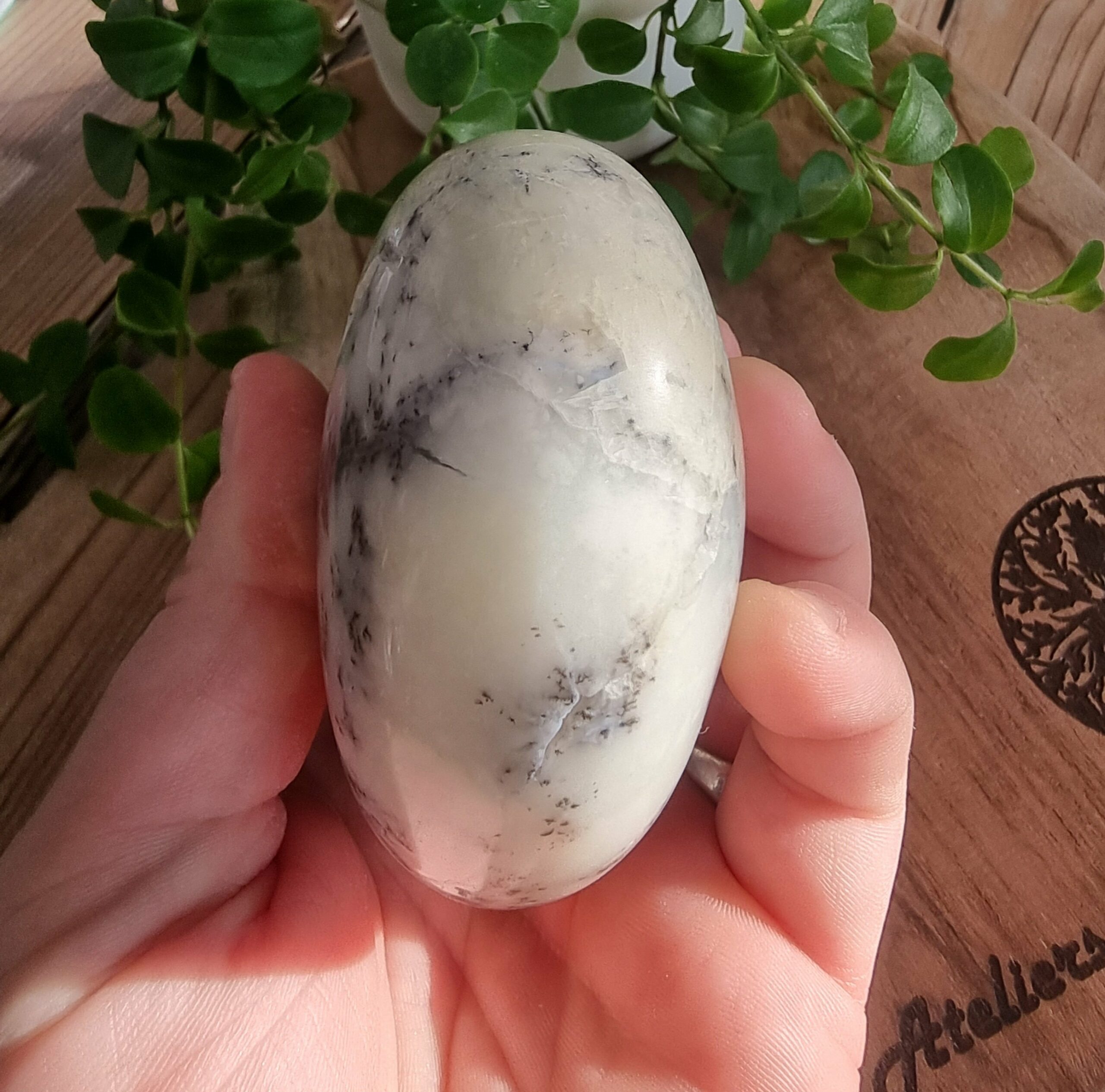 Opale dentritique ou merlinite – Image 3
