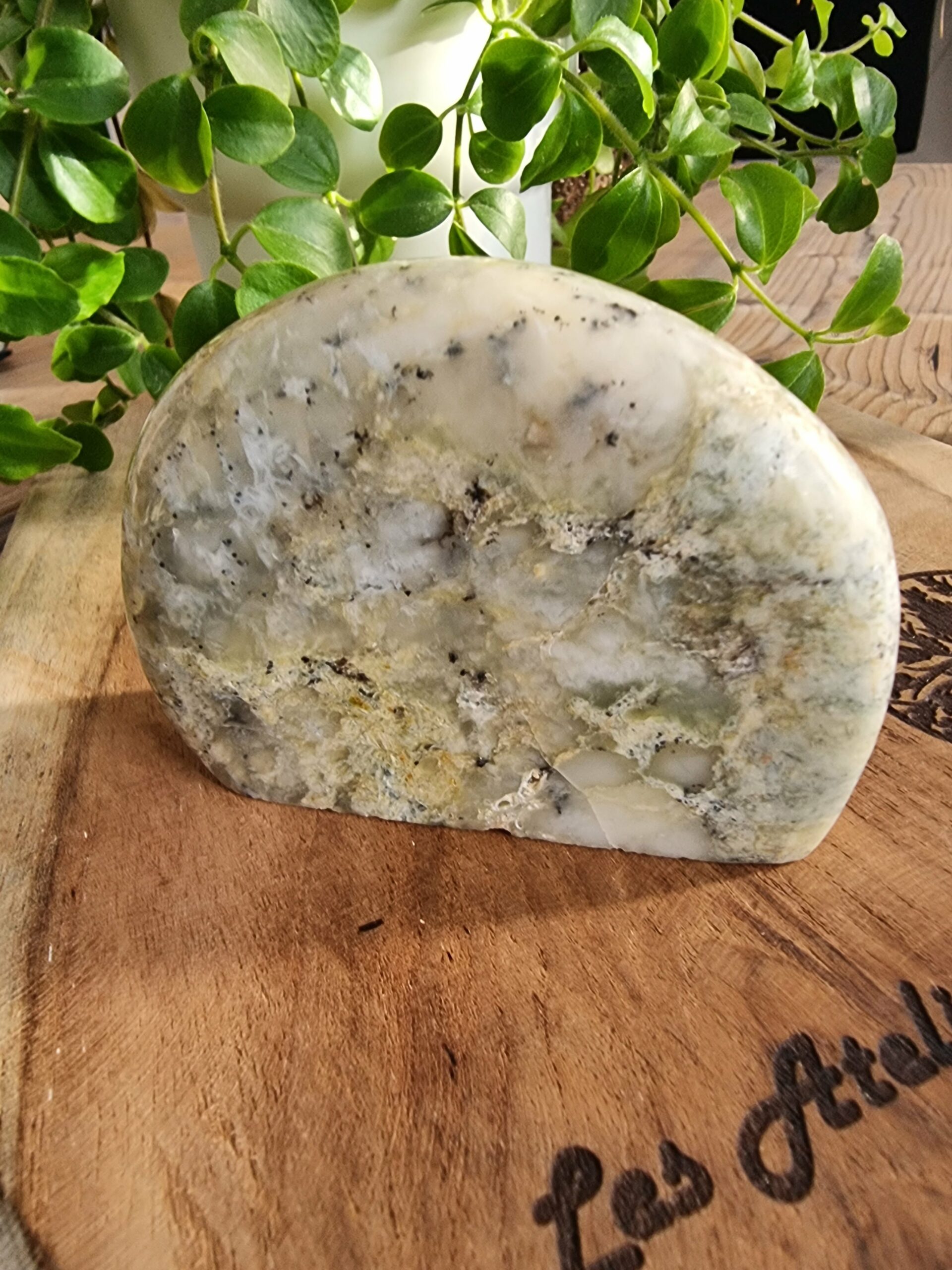 Opale dendritique ou merlinite – Image 5