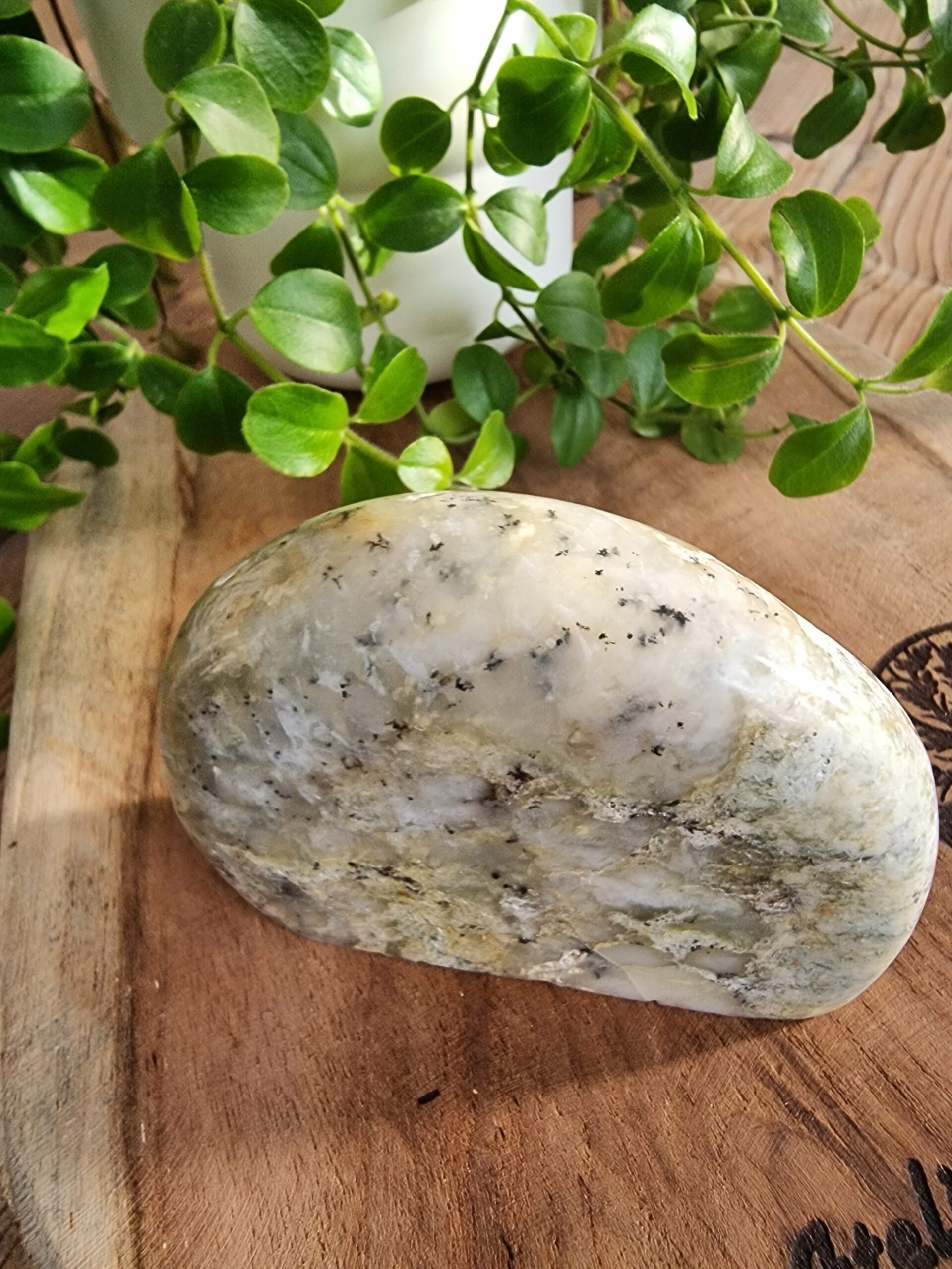 Opale dendritique ou merlinite – Image 4