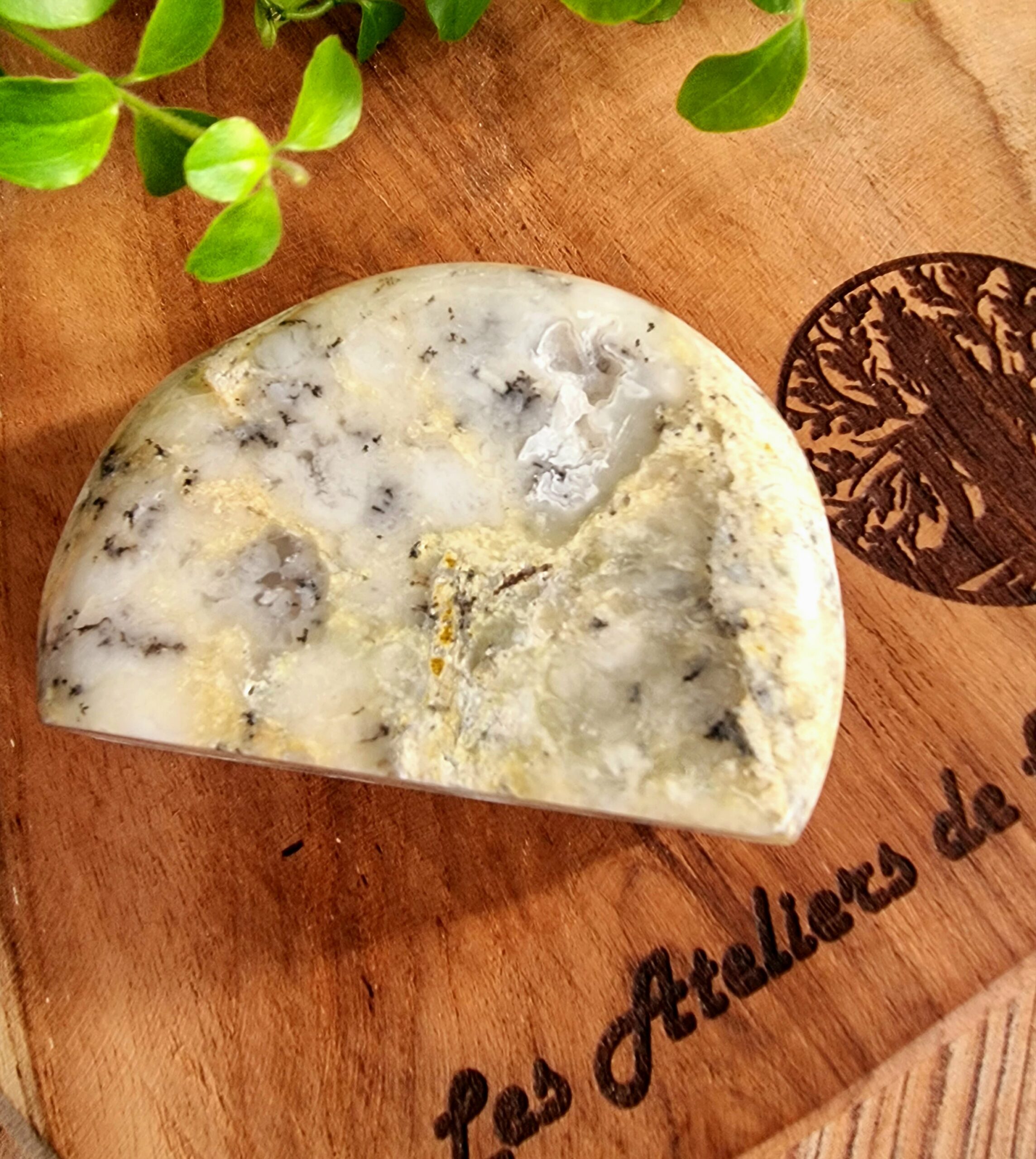 Opale dendritique ou merlinite – Image 2