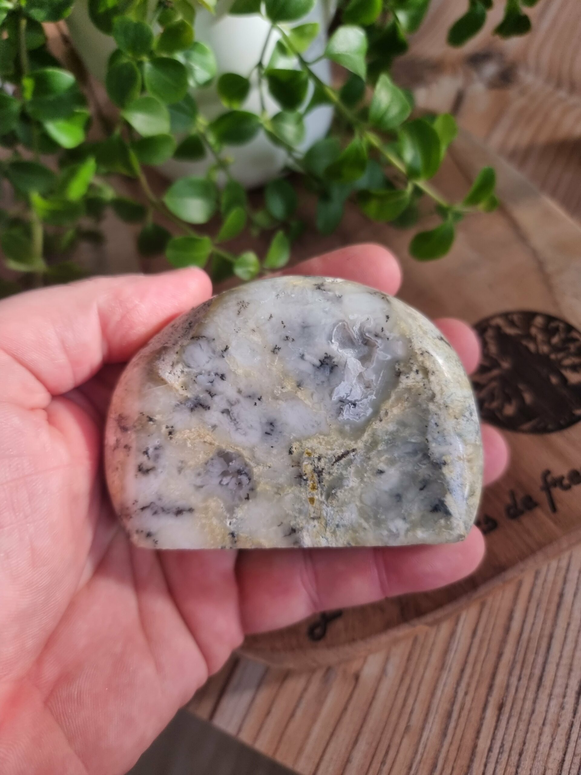 Opale dendritique ou merlinite – Image 7