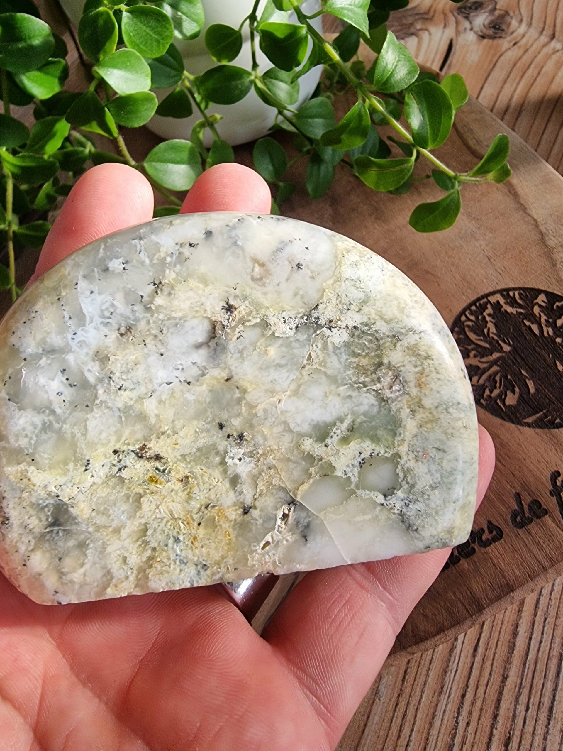 Opale dendritique ou merlinite – Image 3