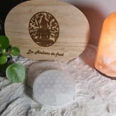 Plaque de pierre en Sélénite