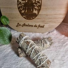 Bâton de sauge bleue