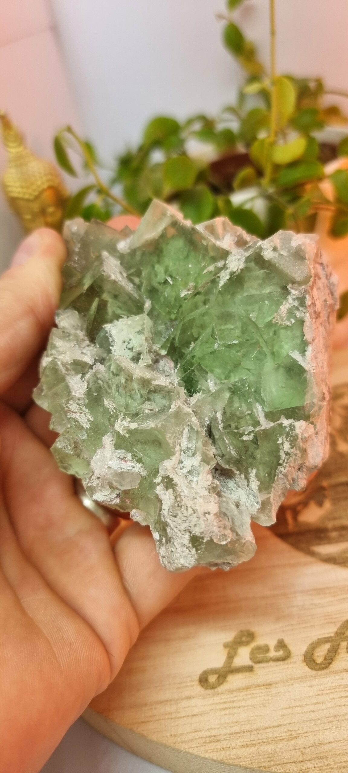 Fluorite verte du Maroc – Image 2