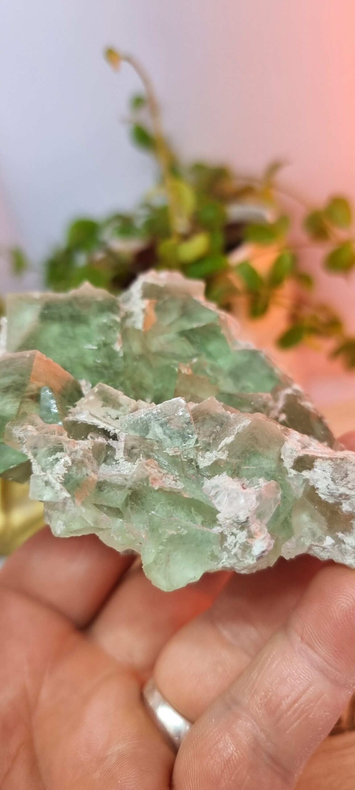 Fluorite verte du Maroc – Image 7