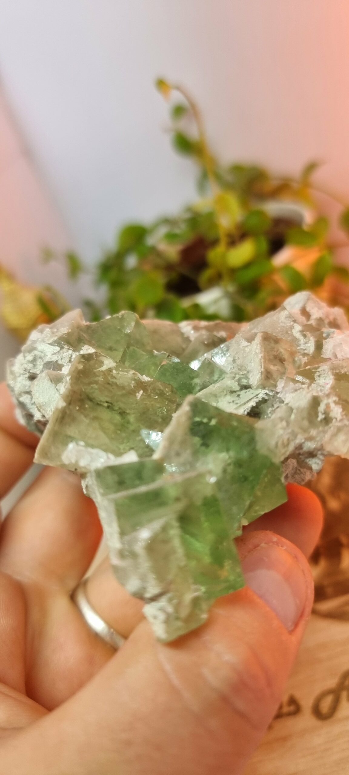 Fluorite verte du Maroc – Image 4