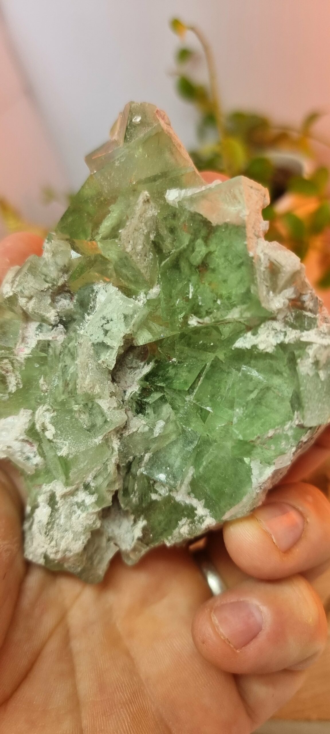 Fluorite verte du Maroc – Image 3