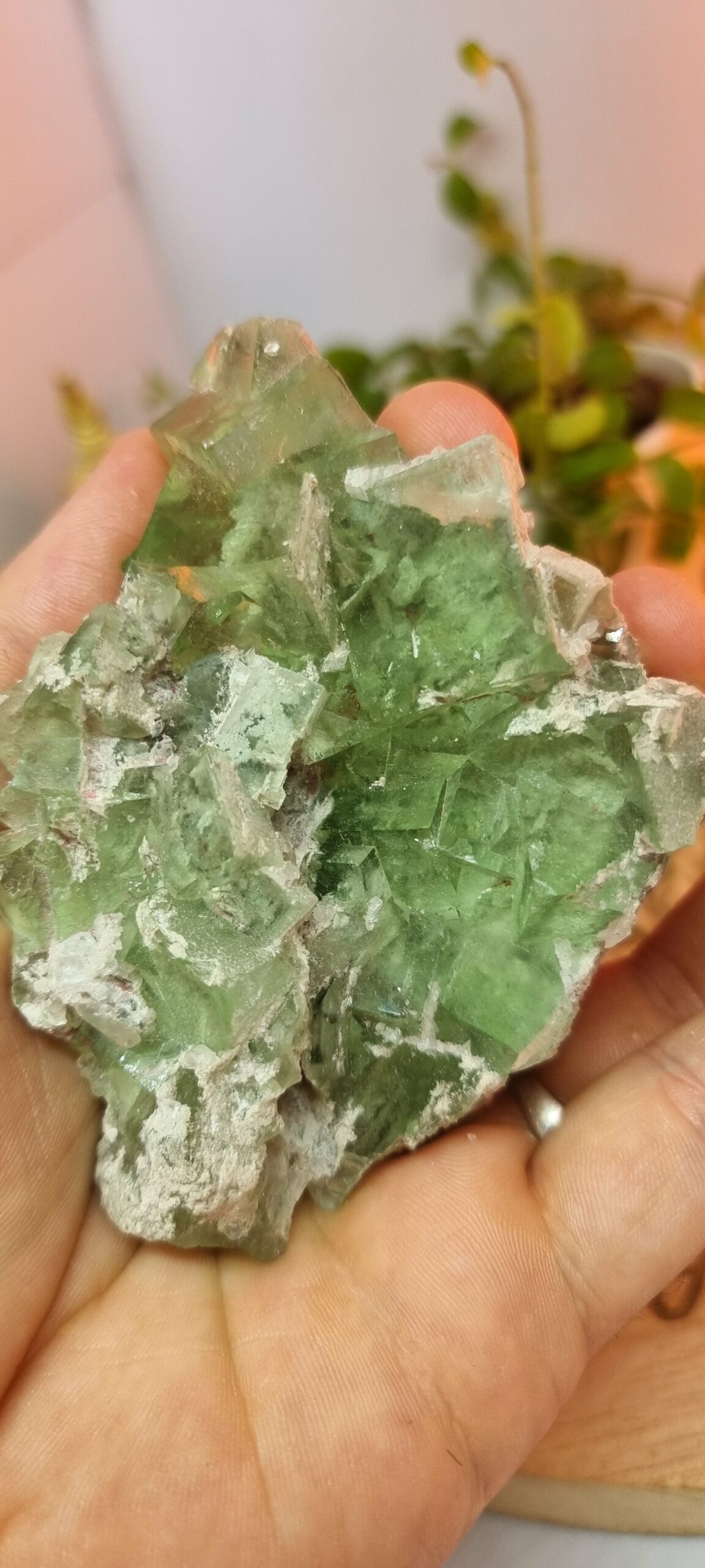 Fluorite verte du Maroc – Image 6