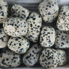 jaspe dalmatien